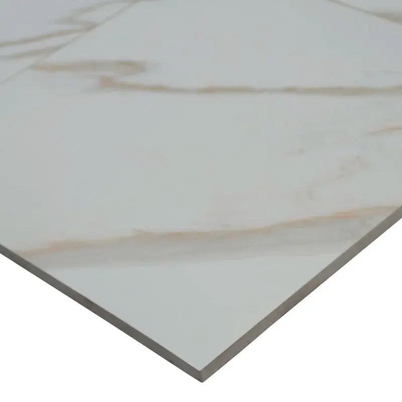 Pietra Calacatta 12" X 24" Porcelain Field Tile