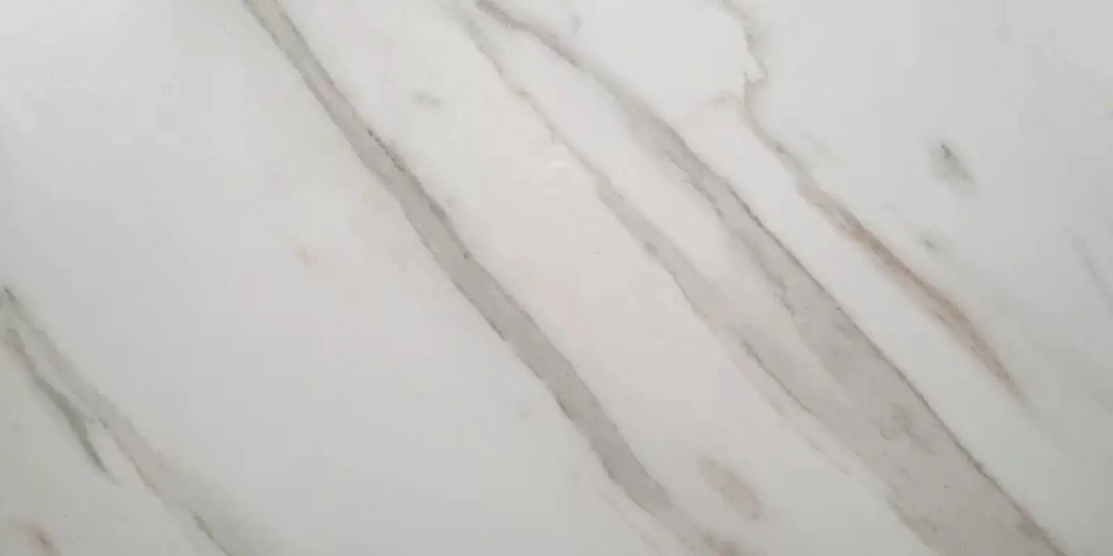 Pietra Calacatta 12" X 24" Porcelain Field Tile