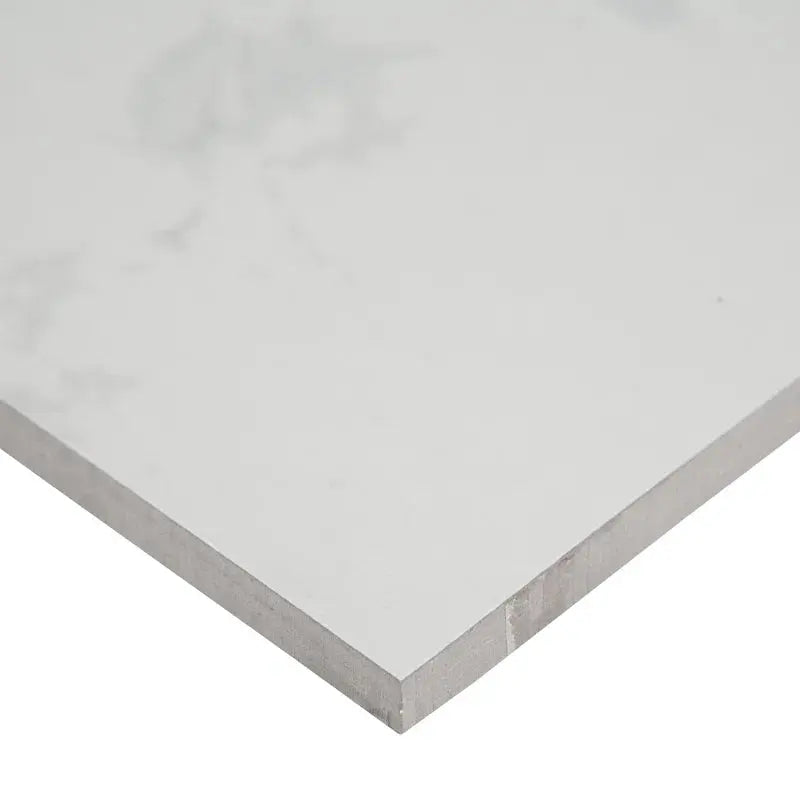 Praia 24" X 48" Polished Porcelain Floor & Wall Tile
