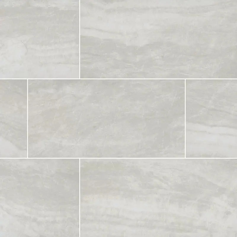 Praia 24" X 48" Polished Porcelain Floor & Wall Tile
