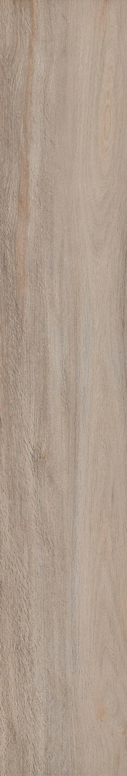 Architech Oak 