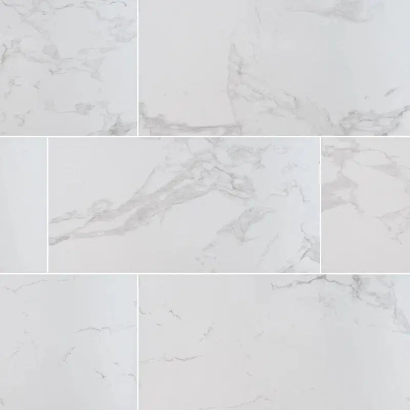 Praia 24" X 48" Polished Porcelain Floor & Wall Tile