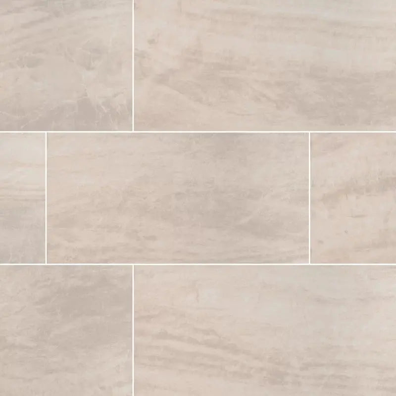 Praia 24" X 48" Polished Porcelain Floor & Wall Tile